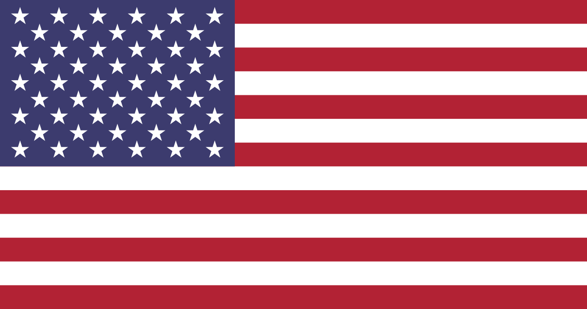 American flag representing public-sector and government healthcare service.